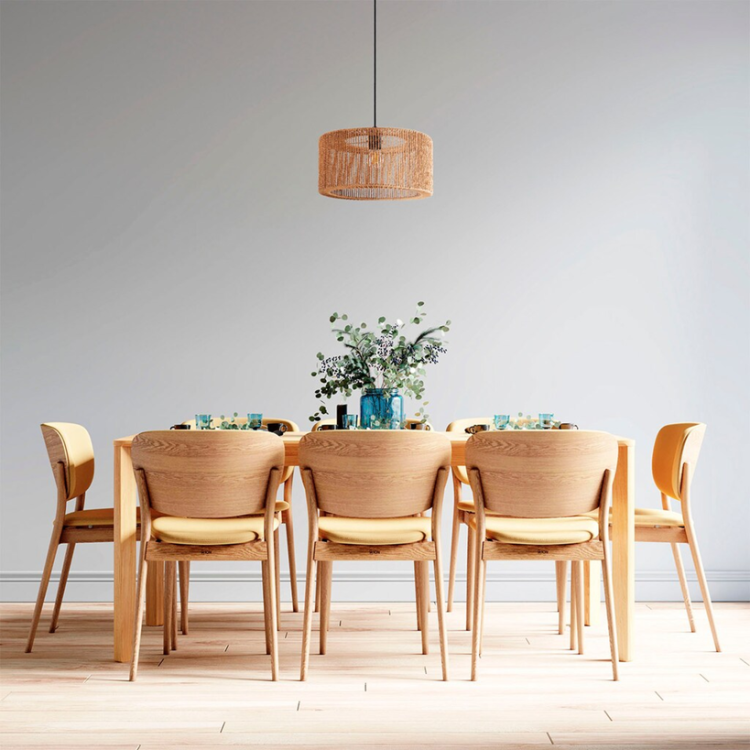 Lubinis šviestuvas "Paco Home" 