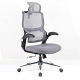 Ergonomiška biuro kėdė "Flexispot", su defektu