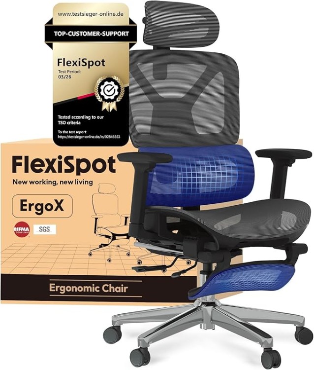 Ergonomiška biuro kėdė "Flexispot"