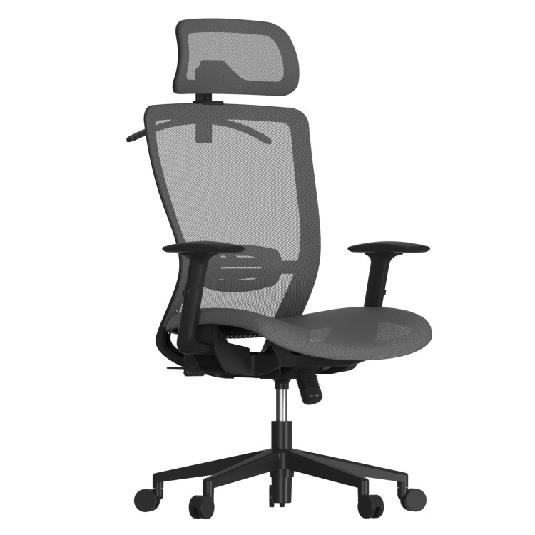 Ergonomiška biuro kėdė "Flexispot"
