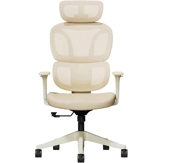 Ergonomiška biuro kėdė "Flexispot"