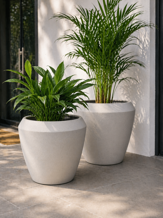 Plastikinis vazonas, 2 vnt