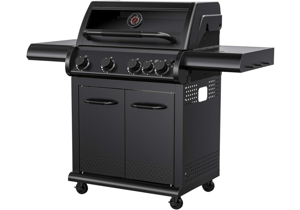 Dujinis grilius - kepsninė