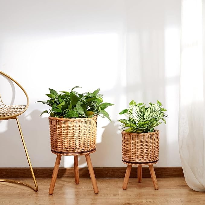 2 vnt. vazonų "Paco Home", nepilna komplektacija