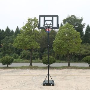 Krepšinio lenta su lanku ir stovu