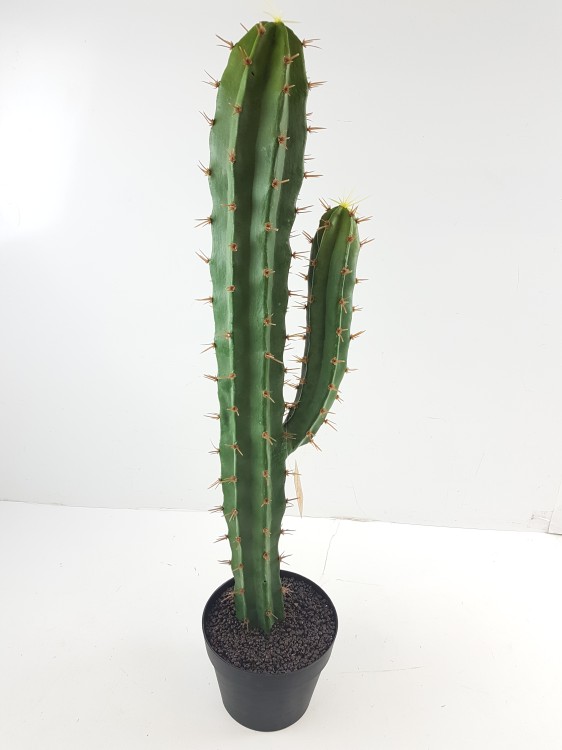 Dirbtinis kaktusas 